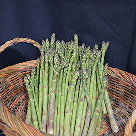 Plant Photo 3